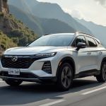 BYD’s July sales stall, casting doubt on 2025 delivery target