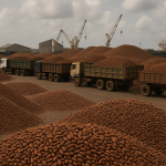 What’s driving the sudden cocoa pile-up at Ivory Coast’s busiest ports?